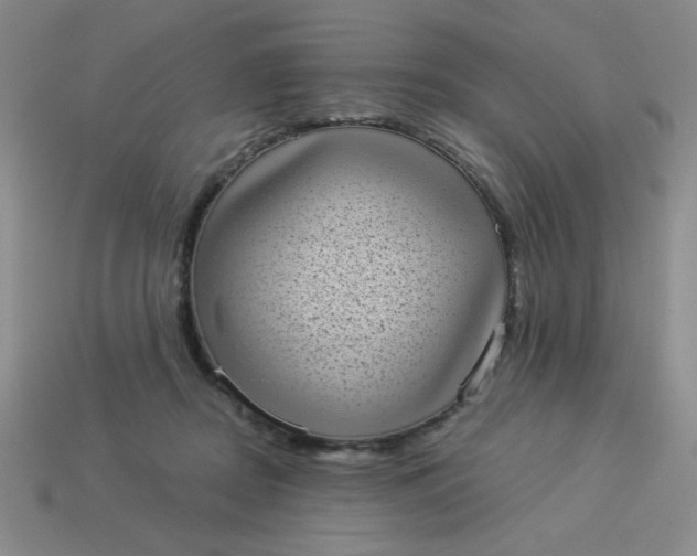 X0000113980362200910161628