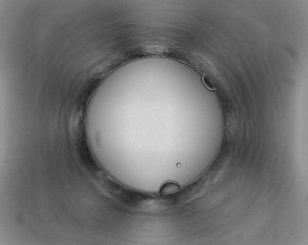 X0000113980364200910161628