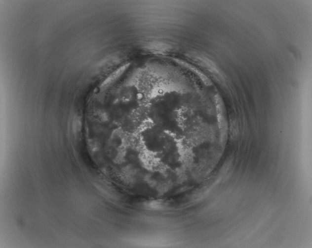 X0000113980365200910161628