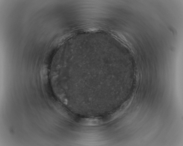 X0000113980366200910161628