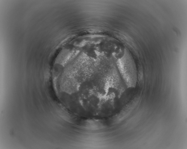 X0000113980367200910161628