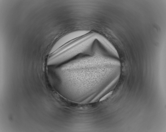 X0000113980368200910161628