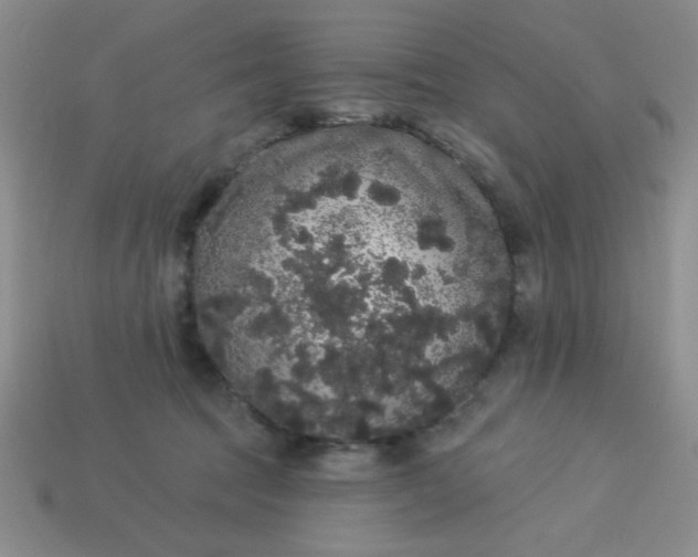 X0000113980369200910161628