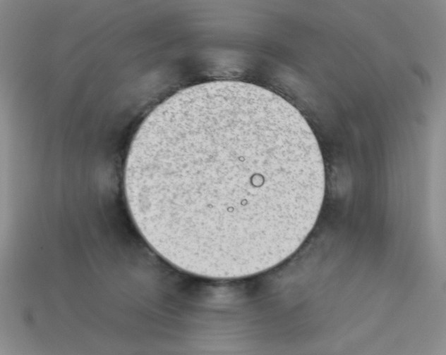 X0000113980370200910161628