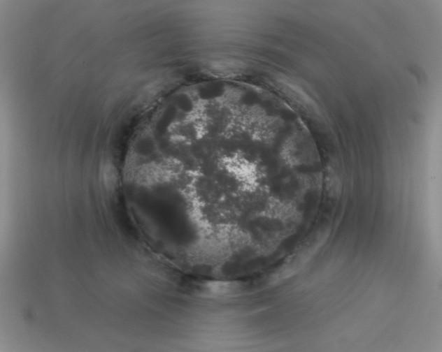 X0000113980371200910161628