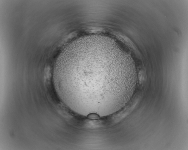 X0000113980372200910161628