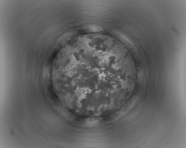 X0000113980373200910161628