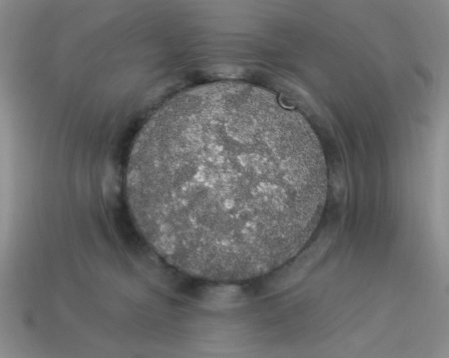 X0000113980374200910161628