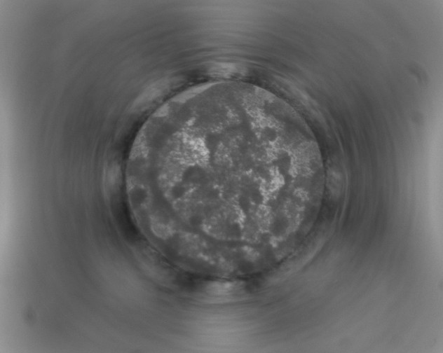 X0000113980375200910161628