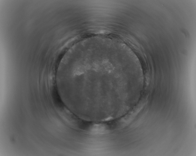 X0000113980376200910161628