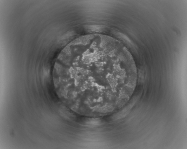 X0000113980377200910161628