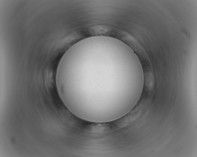 X0000113980378200910161628