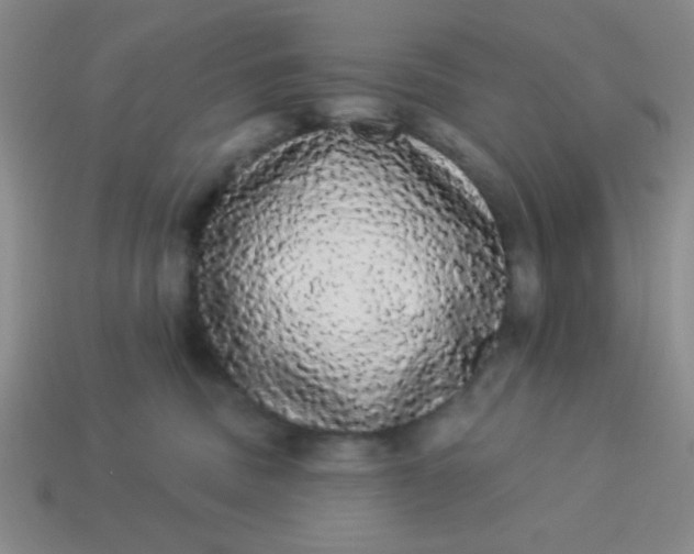 X0000113980379200910161628