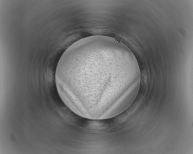 X0000113980380200910161628