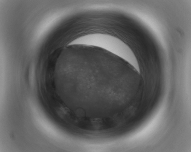 X0000113980382200910161628