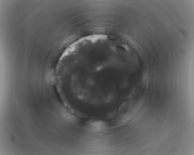 X0000113980383200910161628