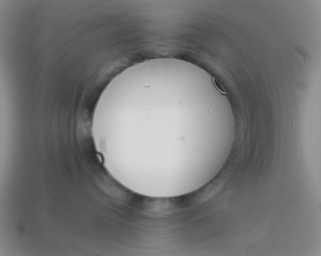 X0000113980384200910161628