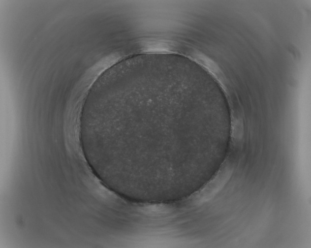 X0000113980385200910161627