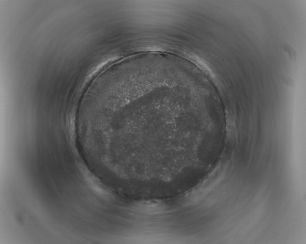 X0000113980386200910161627