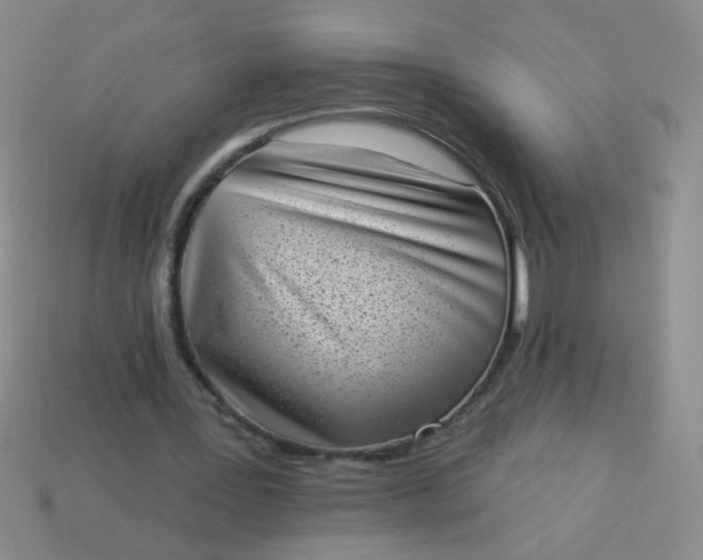 X0000113980387200910161627