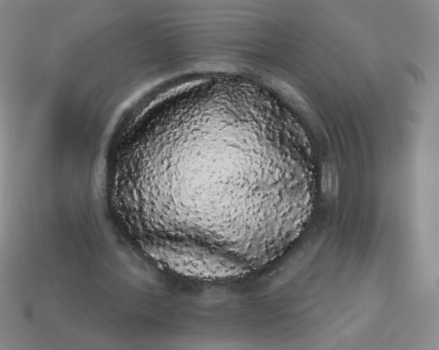 X0000113980388200910161627