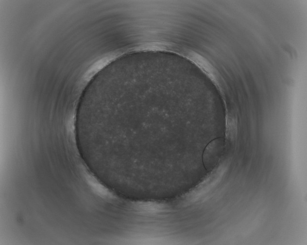 X0000113980389200910161627