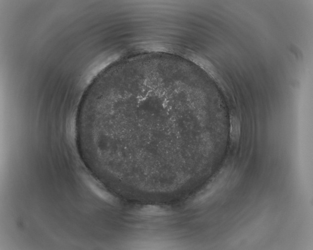 X0000113980390200910161627