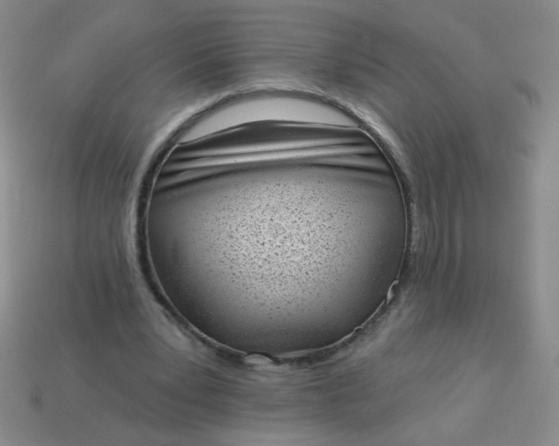 X0000113980391200910161627