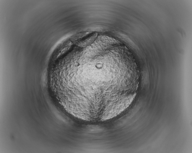 X0000113980392200910161627