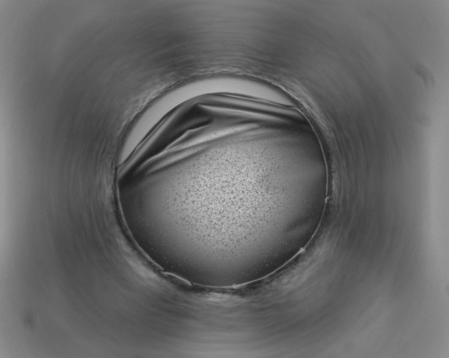 X0000113980393200910161627