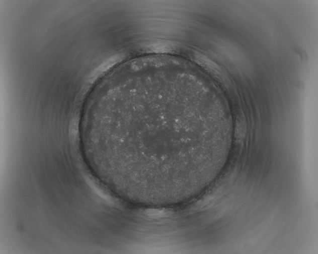 X0000113980394200910161627