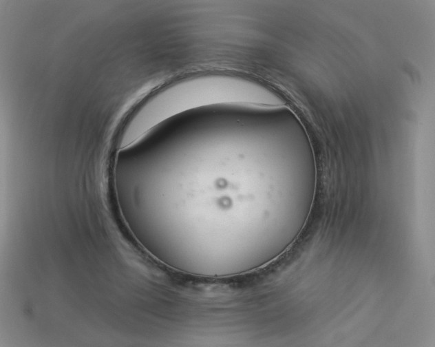 X0000113980395200910161627