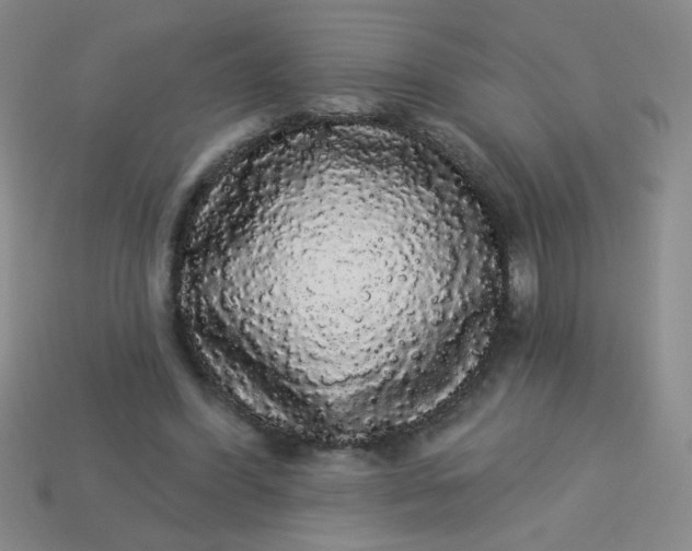 X0000113980396200910161627