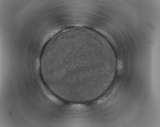 X0000113980397200910161627