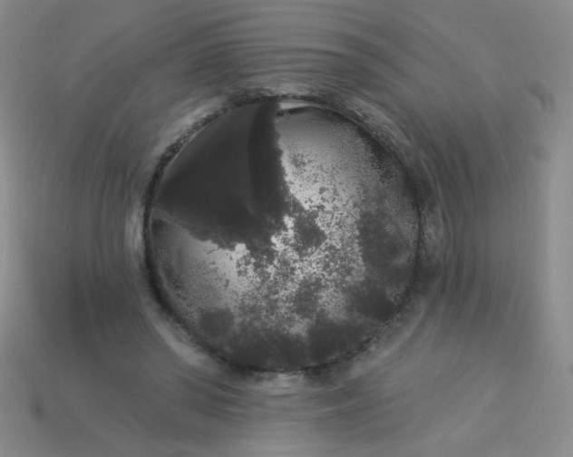 X0000113980398200910161627