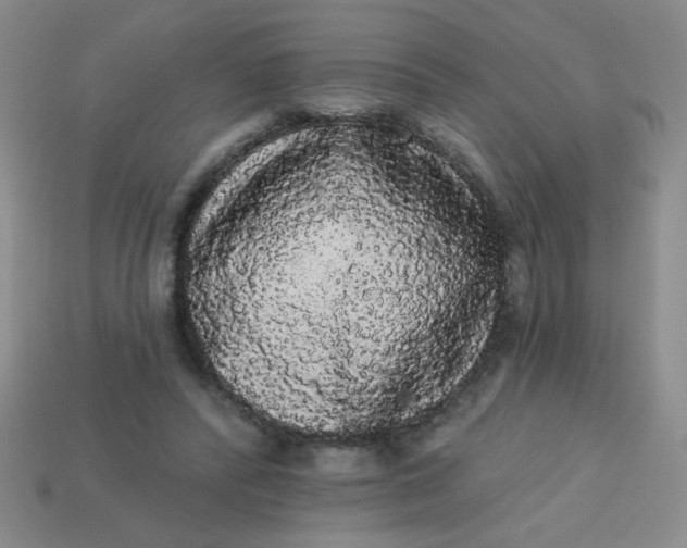 X0000113980400200910161627