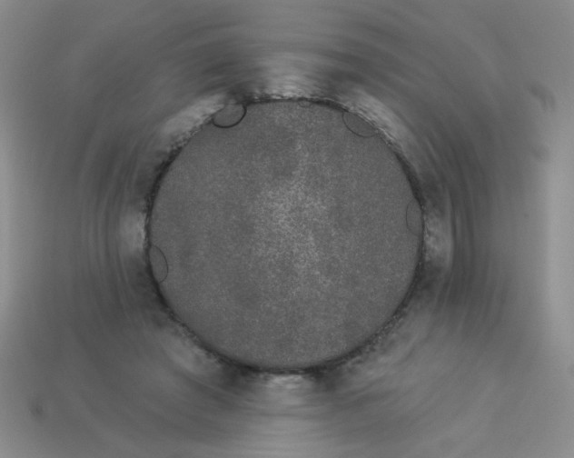 X0000113980401200910161627