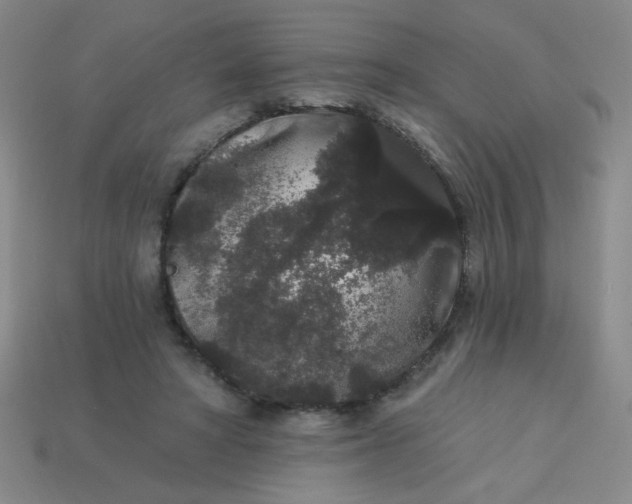 X0000113980402200910161627