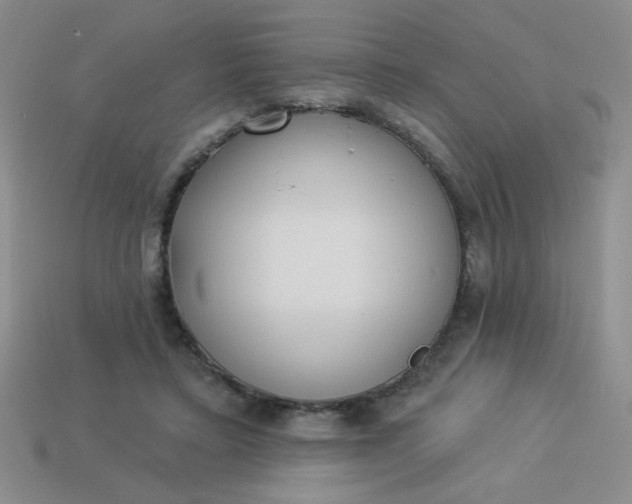 X0000113980403200910161627