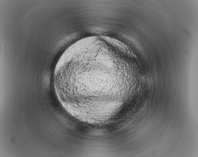 X0000113980404200910161627