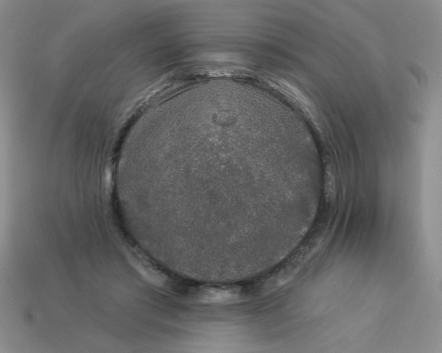 X0000113980405200910161627