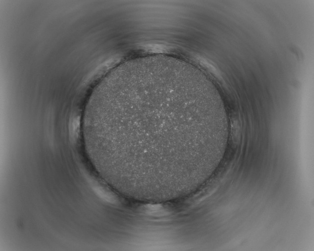 X0000113980406200910161627