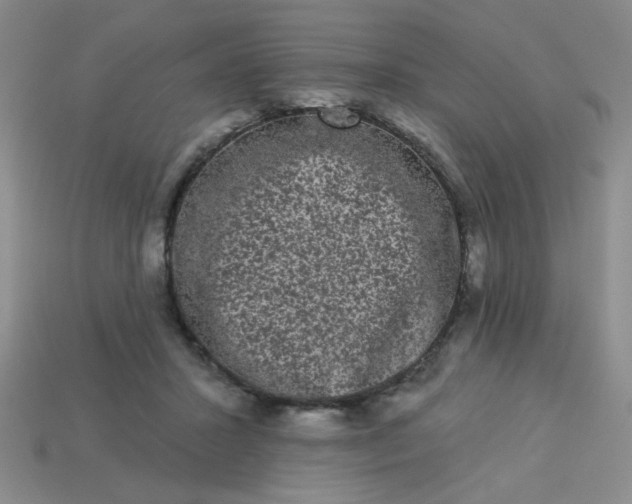 X0000113980407200910161627