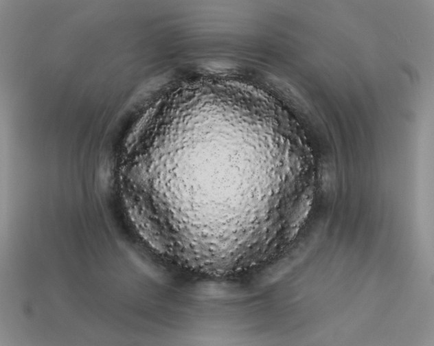 X0000113980408200910161627