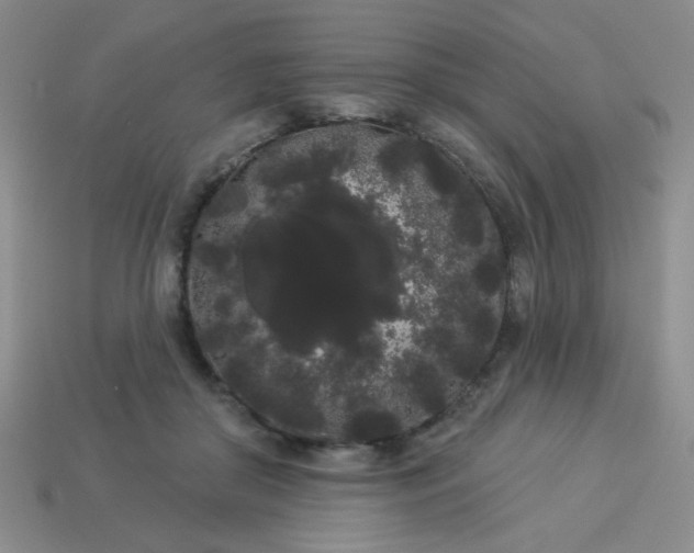 X0000113980410200910161627