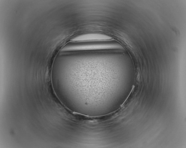 X0000113980411200910161627