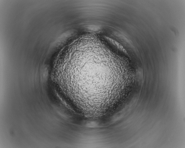 X0000113980412200910161627