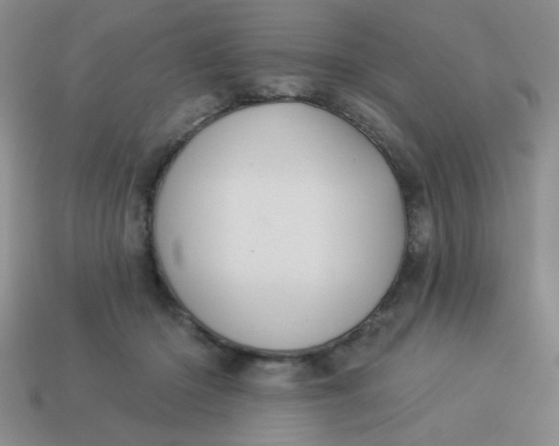 X0000113980414200910161627