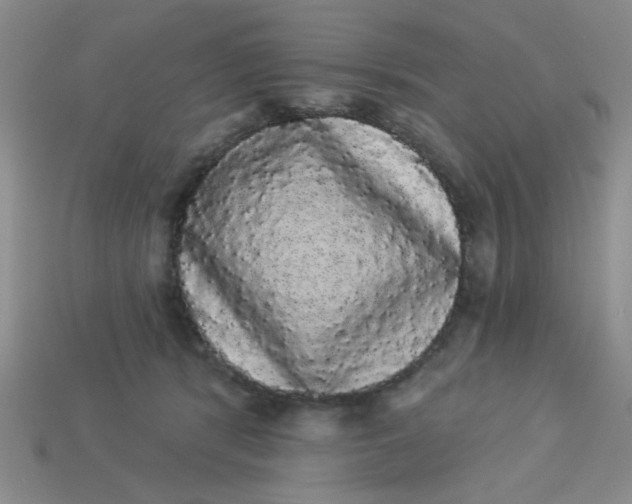 X0000113980416200910161627