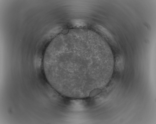 X0000113980417200910161627